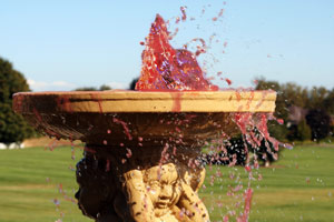 hemorrhage-in-the-knee